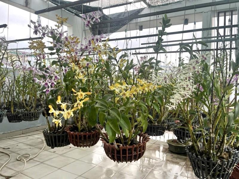 Bán nhà đường 339, Phường Phước Long B, Q9, Thủ Đức, TP HCM. DT 100m2, 4 tầng, SH. Giá