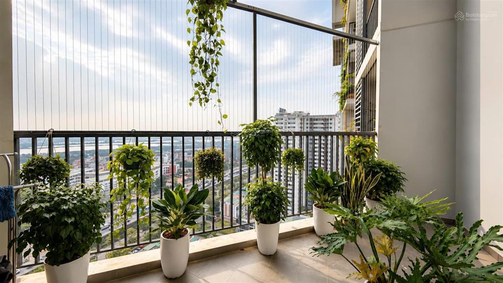 Cho thuê cc gamuda gardens, lô góc, ban công cực rộng, 54m2, 1 ngủ+, 1wc, nội thất full