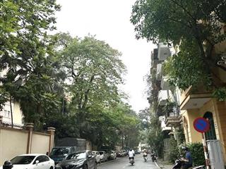 🏡 MẶT PHỐ PHÙNG CHÍ KIÊN- CẦU GIẤY - VỈA HÈ RỘNG - 7 TẦNG TM - THÔNG SÀN - DT 100TR/TH