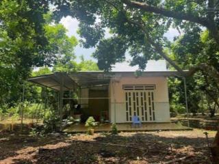 Đất vườn giá lỗ 180tr tại minh thành cách ngã tư chơn thành 500m nay thuộc đồng nai, sổ hồng riêng