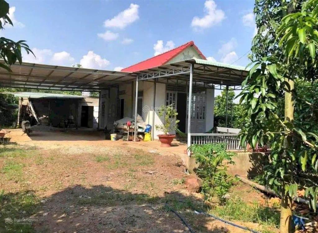 Kẹt tiền bán rẻ vườn nghỉ dưỡng diện tích lớn ở minh thành, chơn thành, tphcm giá chỉ 550 triệu shr