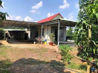 Kẹt tiền bán rẻ vườn nghỉ dưỡng diện tích lớn ở minh thành, chơn thành, tphcm giá chỉ 550 triệu shr