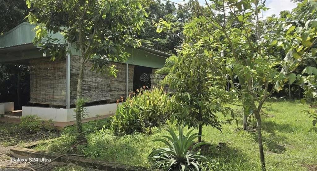 Đất vườn giá rẻ trừ văn thố, bàu bàng, tp. hcm cần bán ra với giá 930triệu có sẵn nhà sổ hồng riêng