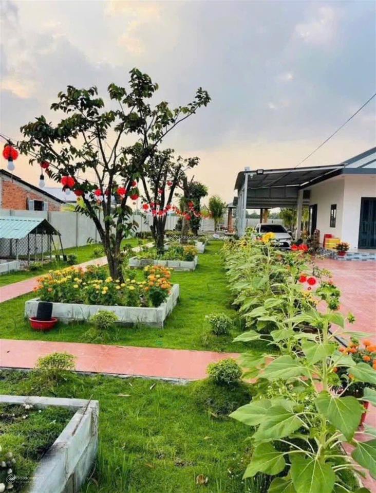 Bán đất nhà vườn minh thành ngay gần kcn & ngã tư chơn thành giá mềm chỉ 550 triệu  1.300m² shr