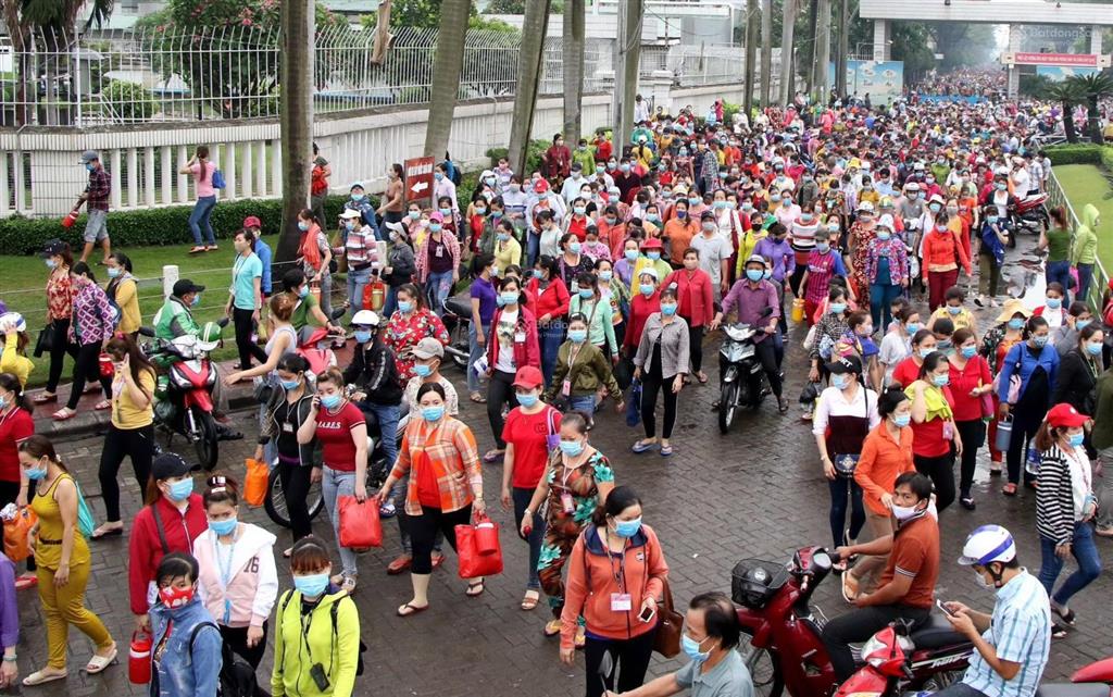 Thanh lý dãy trọ ở gần kcn becamex chơn thành, đồng nai giá chỉ 820 triệu thu nhập /tháng