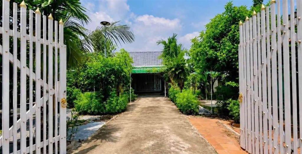 Bán đất nhà vườn mặt tiền đường hồ chí minh 1.099m2 ở trừ văn thố, bàu bàng, tphcm giá chỉ 780triệu