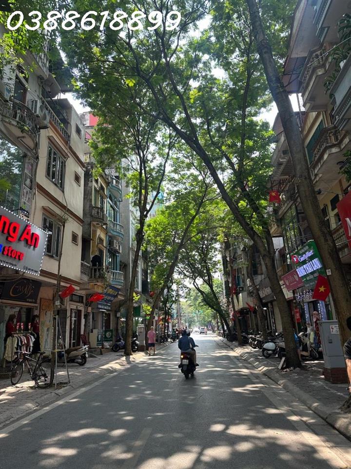🏠 MẶT PHỐ TRẦN QUỐC HOÀN - ĐOẠN ĐẸP NHẤT PHỐ - KINH DOANH SẦM UẤT - 2 MẶT THOÁNG TRƯỚC