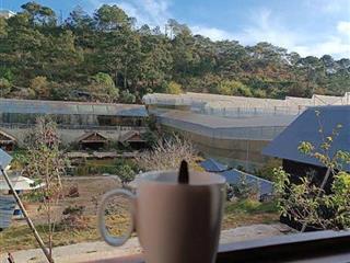 Cho thuê Homestay Dankia phường 7 Đà Lạt 50 triệu/tháng