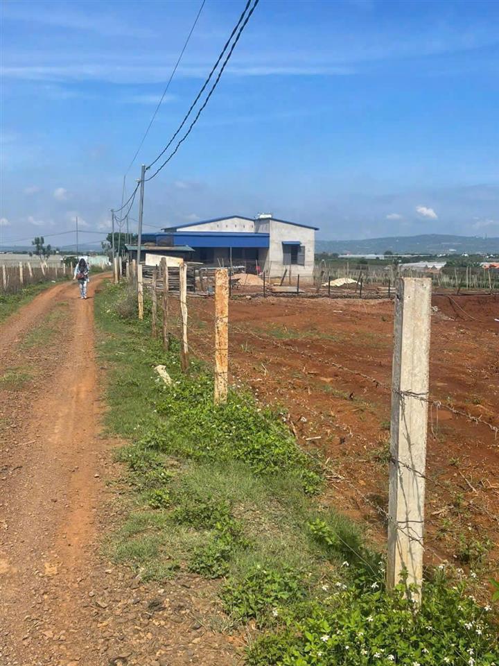 Bán 11140m2 đất N'Thôn Hạ Đức Trọng Lâm Đồng 11 tỷ