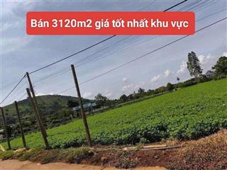 Bán 3120m2 đất xã Tân Hội Đức Trọng Lâm Đồng 4 tỷ