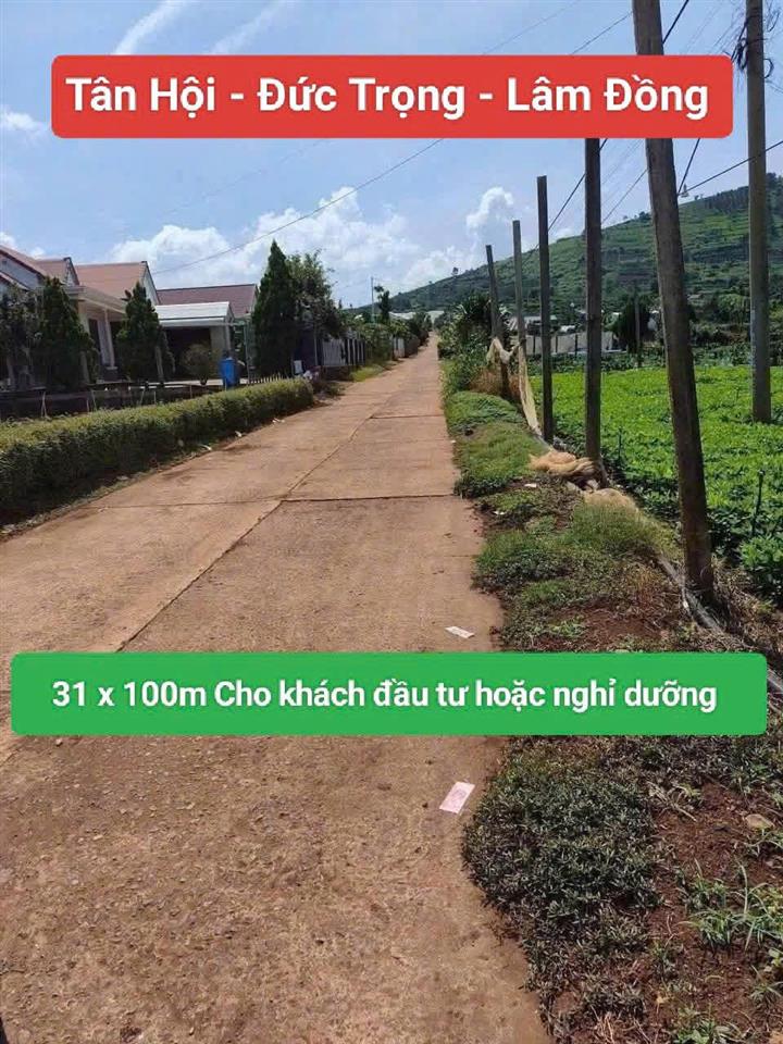 Bán 3120m2 đất xã Tân Hội Đức Trọng Lâm Đồng 4 tỷ