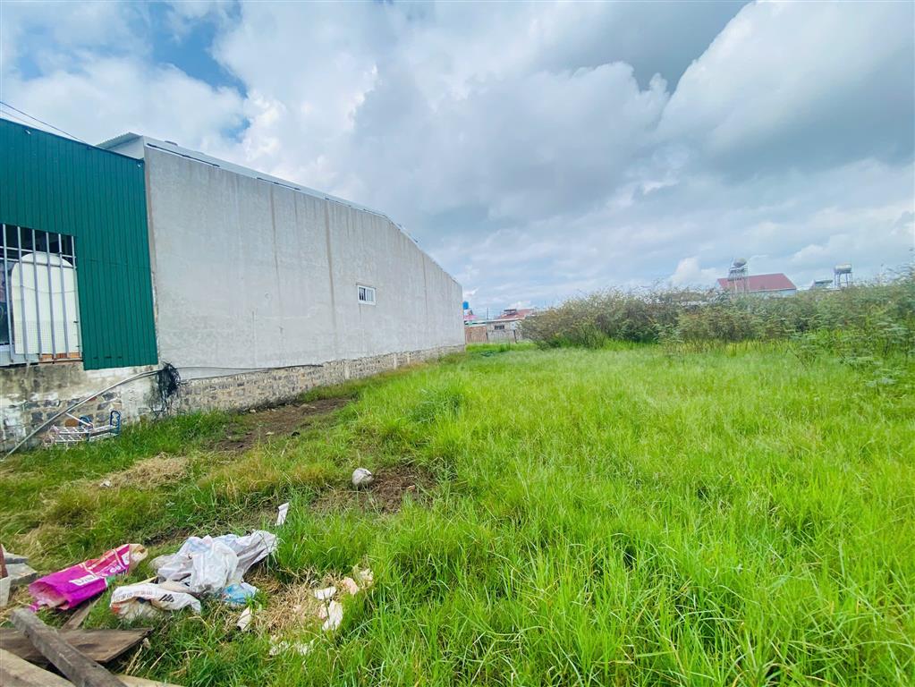 Bán đất 115m2 Phú Hội Đức Trọng Lâm Đồng Giá 1 tỉ 050 triệu
