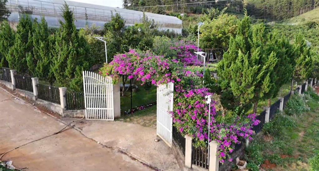 Cho thuê homestay khuôn viên 2.000m2 4 bungalow view rừng thông giá 35 triệu tại Tà Nung