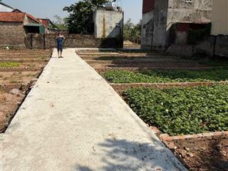 Bán đất thọ an  đan phượng, 41m², giá chỉ ~2 tỷ, ngõ gần ô tô