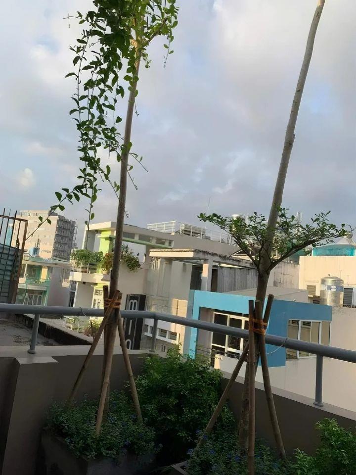 [P BÀN CỜ] BÁN NHÀ MẶT TIỀN KD 5 TẦNG– NGAY CHỢ VƯỜN CHUỐI – CX ĐÔ THÀNH Q.3 – NHỈNH 11 TỶ