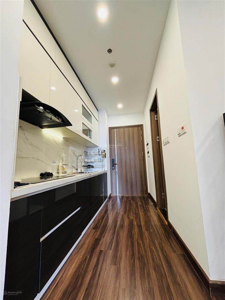 Cho thuê căn hộ 50m2  2 ngủ  1 wc  hoàng huy commerce  camellia  9,5 triệu  full đồ