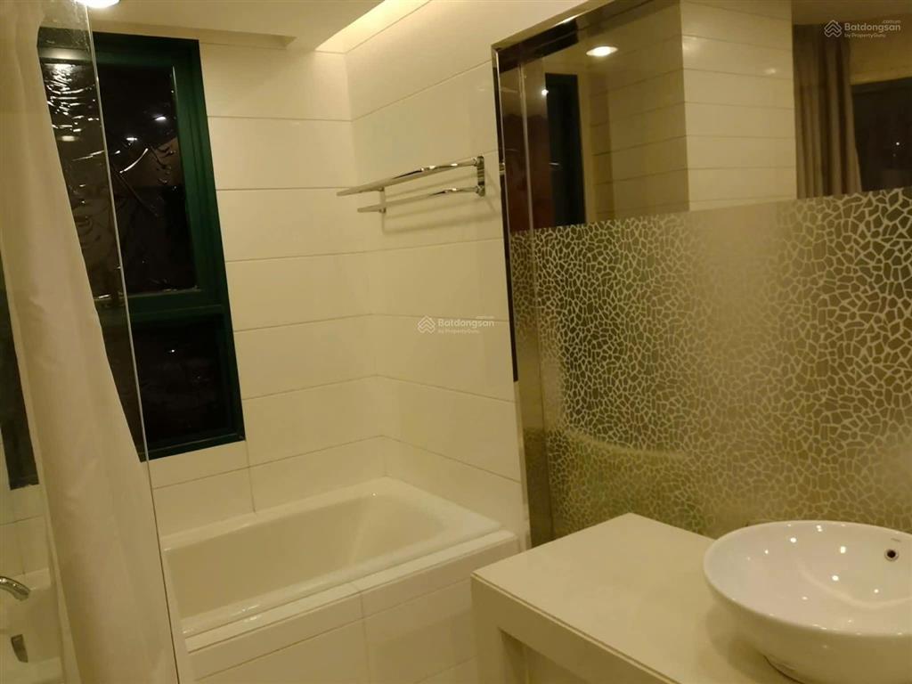 Cho thuê căn hộ cao cấp tại tòa lạc hồng khu vực parkson  siêu thị go  200m2  14 triệu