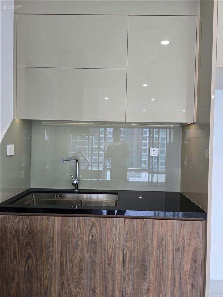 Cho thuê căn hộ 3pn cao cấp diamond alnata plus, ô xe hơi đẹp nhất celadon city