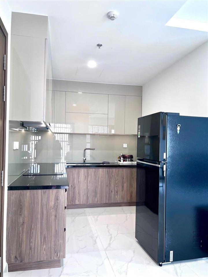 Cho thuê căn hộ diamond alnata plus 2 phòng ngủ 19tr căn góc full nội thất