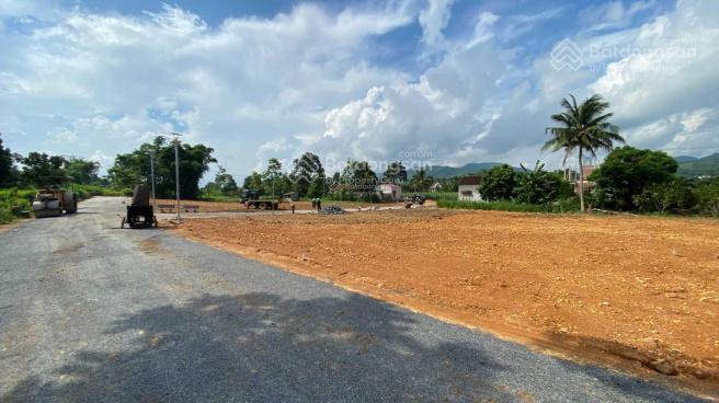 Chính chủ cần cắt lỗ sâu lô đất nền từ 180300m2 tại trung tâm xã thành mỹ, thạch thành, thanh hóa