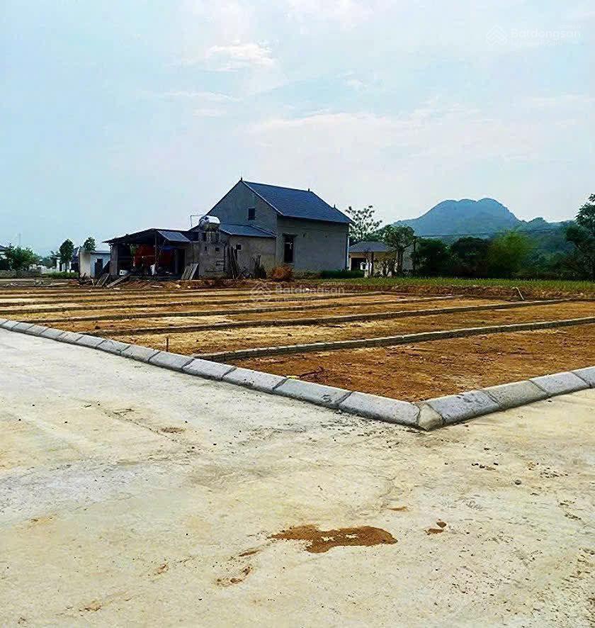 Chính chủ cần cắt lỗ sâu lô đất nền từ 180300m2 tại trung tâm xã thành mỹ, thạch thành, thanh hóa