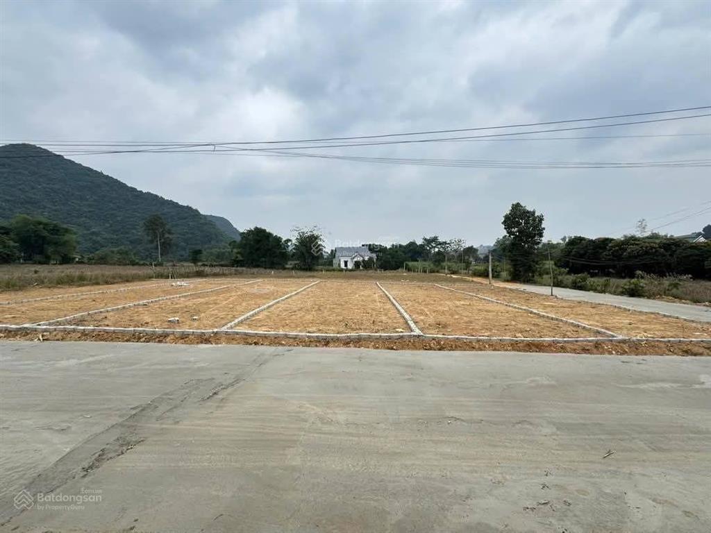 Chính chủ cần cắt lỗ sâu lô đất nền từ 180300m2 tại trung tâm xã thành mỹ, thạch thành, thanh hóa