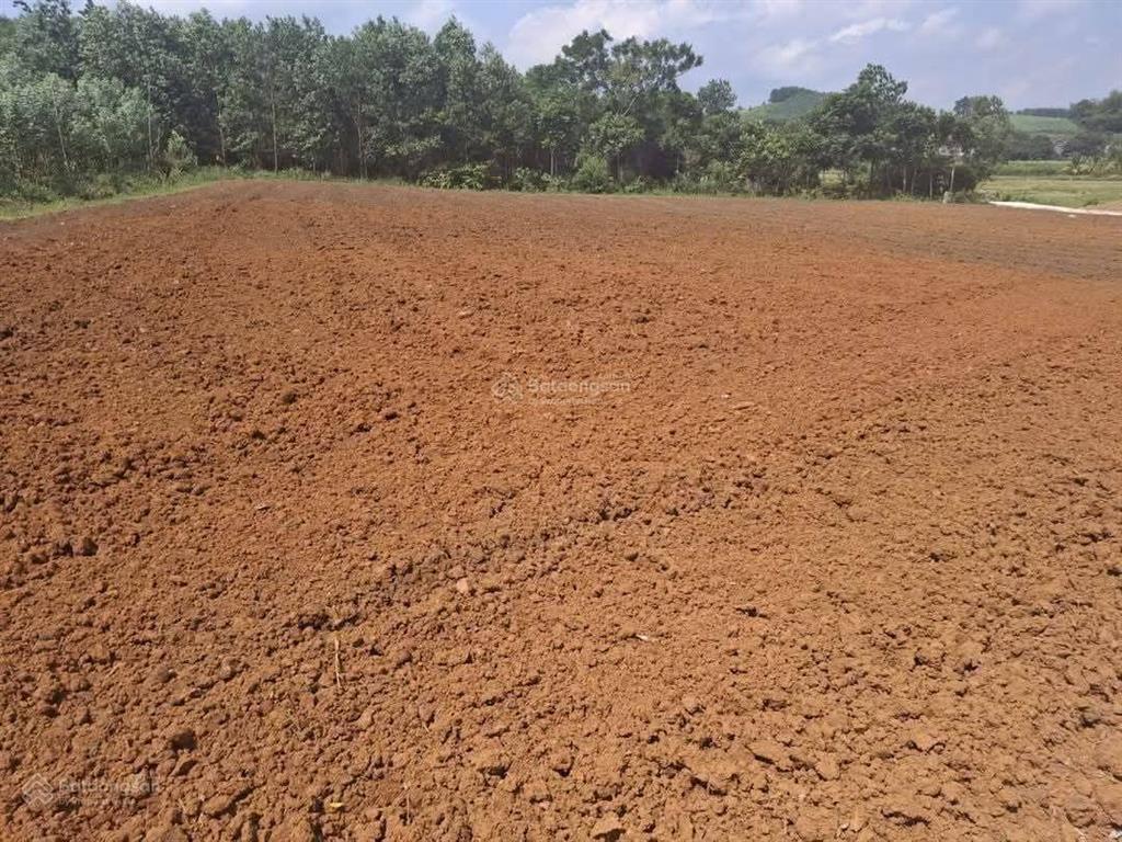 Chính chủ cần cắt lỗ sâu lô đất nền từ 180300m2 tại trung tâm xã thành mỹ, thạch thành, thanh hóa