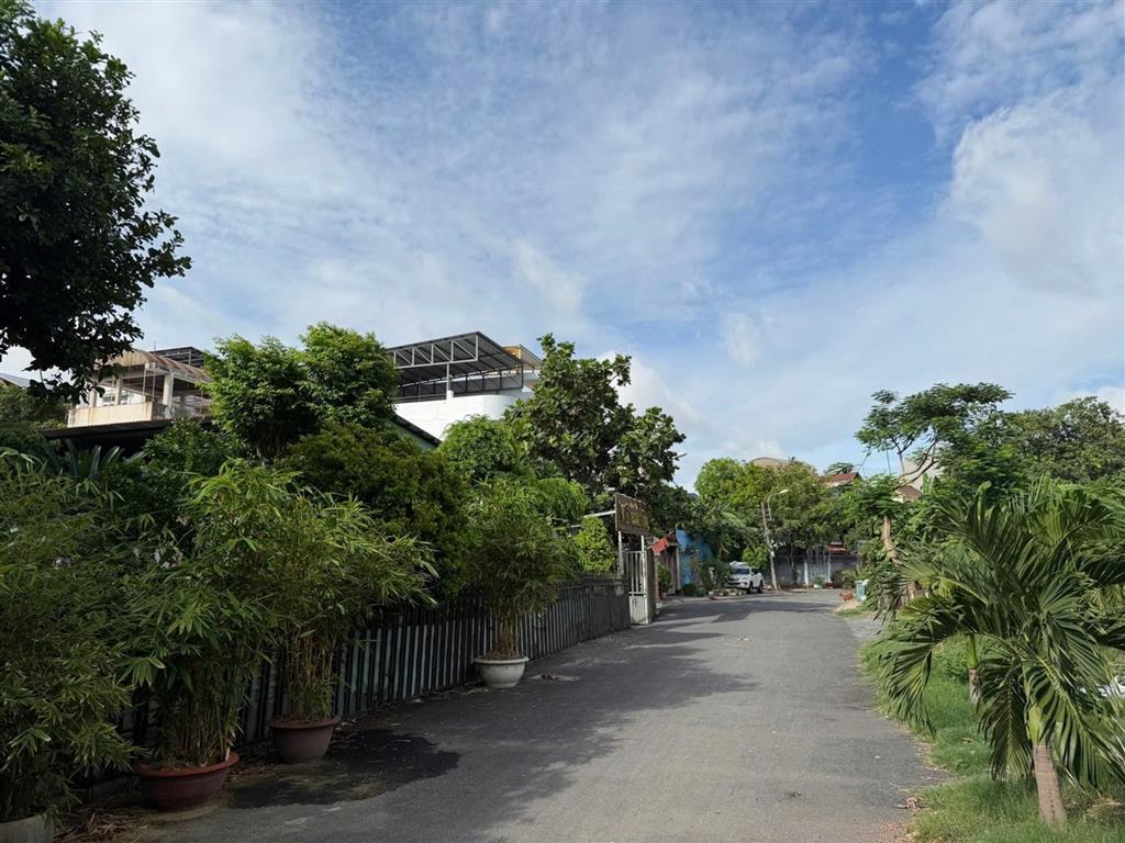 Biệt thự view công viên trục Dương Quảng Hàm, P.6, Gò Vấp, 470m2, đường 12m, 47 tỷ