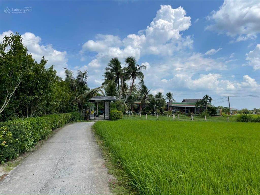 Chính chủ cần bán gấp đất 132m² full thổ cư đường nguyễn văn đầy, long an