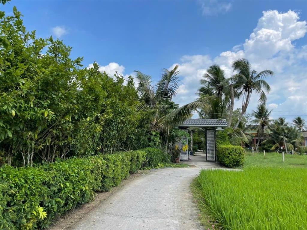 Chính chủ cần bán gấp đất 132m² full thổ cư đường nguyễn văn đầy, long an