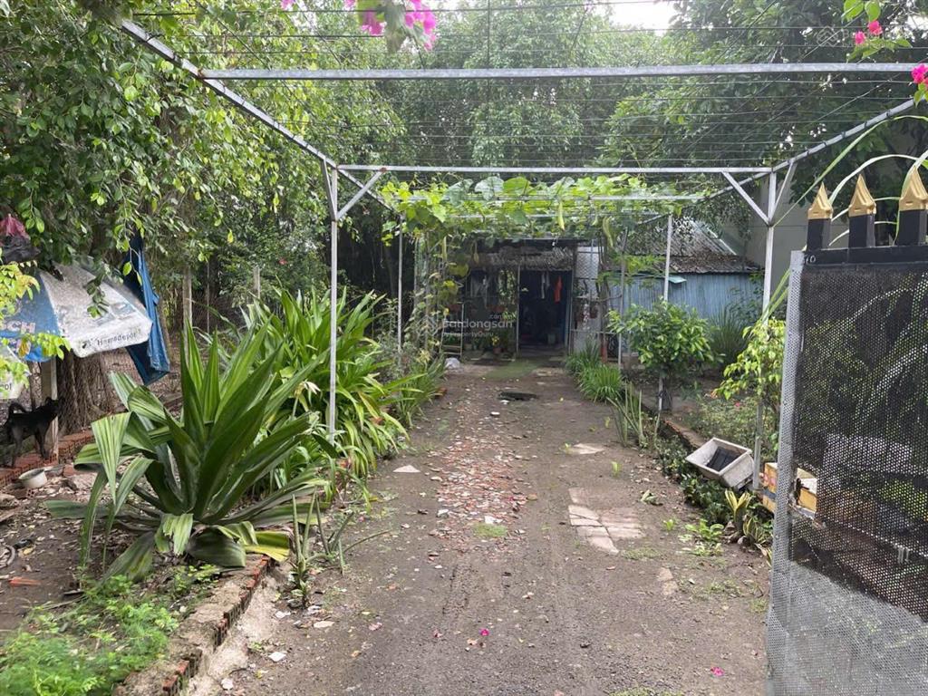 Bán gấp 9ty đất 725m2 tại 44/b2, ấp 2, tam bửu tự, đa phước, bình chánh cũ kế dự án win hưng long