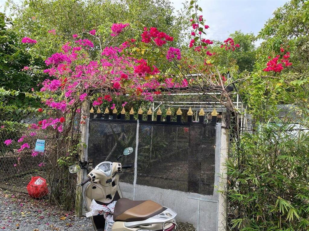 Bán gấp 9ty đất 725m2 tại 44/b2, ấp 2, tam bửu tự, đa phước, bình chánh cũ kế dự án win hưng long