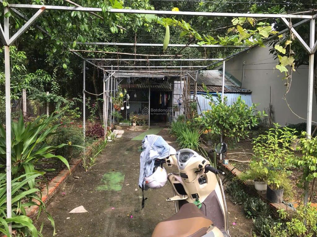 Bán gấp 9ty đất 725m2 tại 44/b2, ấp 2, tam bửu tự, đa phước, bình chánh cũ kế dự án win hưng long