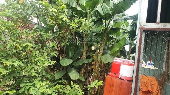 Đất linh xuân 45m2 hẻm ba gác giá 900 triệu. đầu tư cơ hội