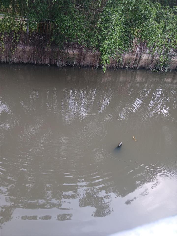 Ngô chí quốc, bình chiểu, thủ đức. em bán lô đất vừa view kênh, vừa view tuyến metro số 2 mới