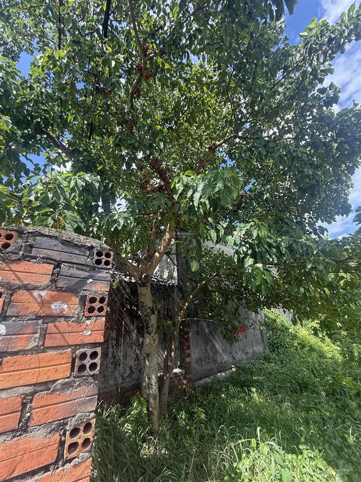 Bán đất phân lô phú hòa định quán
