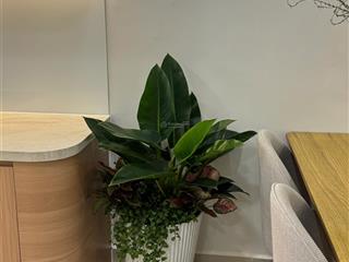 Chính chủ bán căn hộ a53 mỹ khánh 1 phú mỹ hưng view hồ bơi