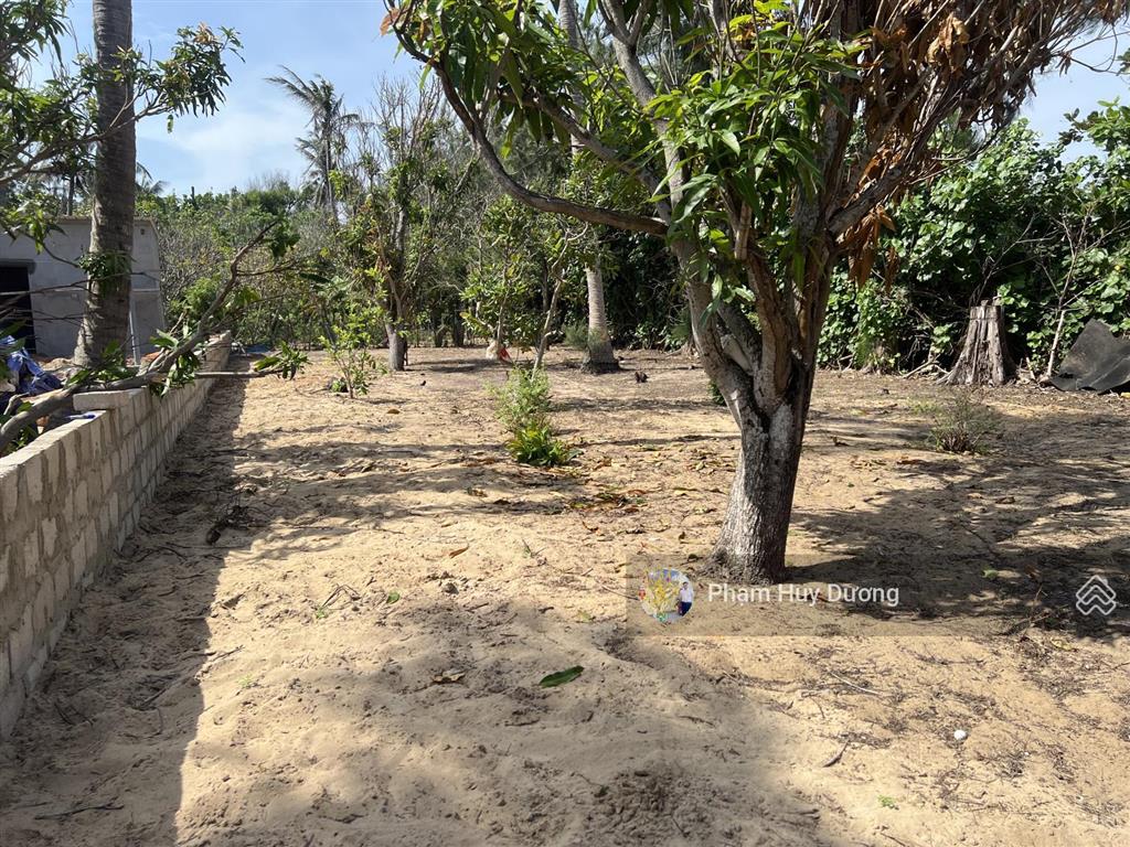 Thửa đất vườn đẹp tại đảo phú quý 500m2 giá đúng 950 triệu sổ hồng riêng