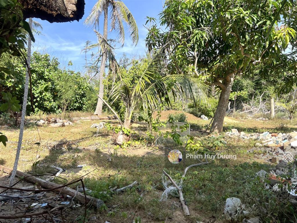 Thửa đất vườn đẹp tại đảo phú quý 500m2 giá đúng 950 triệu sổ hồng riêng