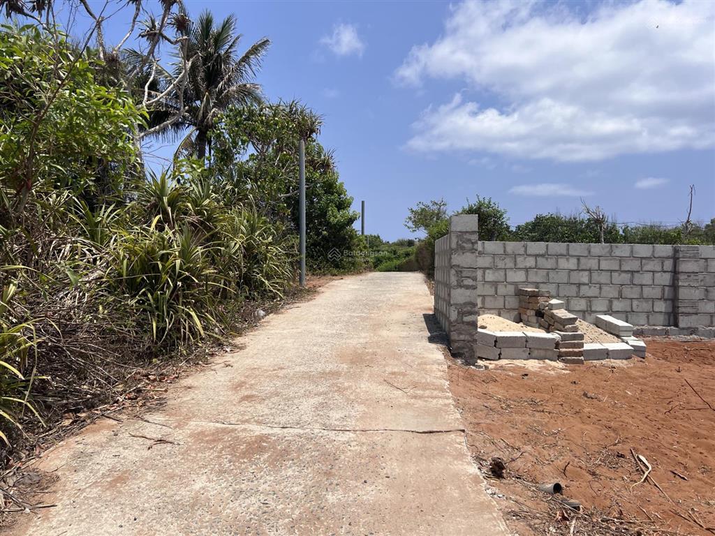 Bán lô đất 563m2 sổ hồng riêng đảo phú quý đường bê tông giá 580 triệu, xung quanh nhiều nhà vườn