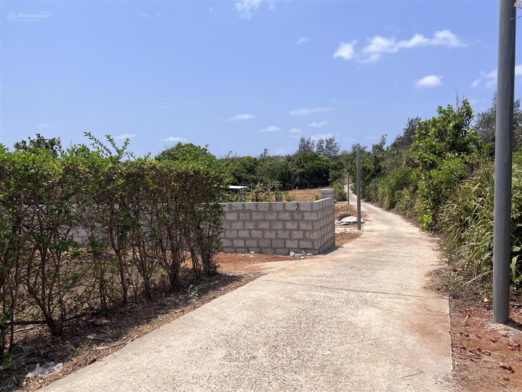 Bán lô đất 563m2 sổ hồng riêng đảo phú quý đường bê tông giá 580 triệu, xung quanh nhiều nhà vườn