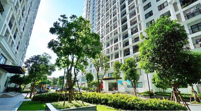 Chính chủ cực thiện chí bán căn hộ 4pn, 190m, tầng cao, full đồ đẹp, bc nam tại times city, giá tốt
