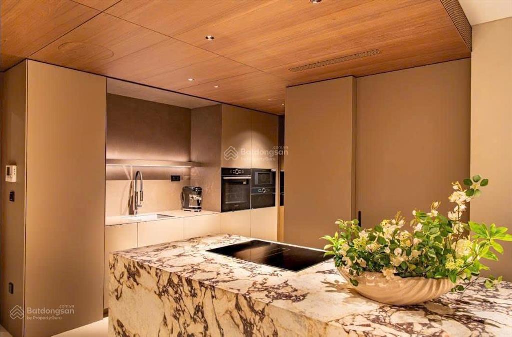 Siêu phẩm penthouse 280m², nhận nhà ở ngay, giá gốc cđt, trung tâm ba đình, the nelson private