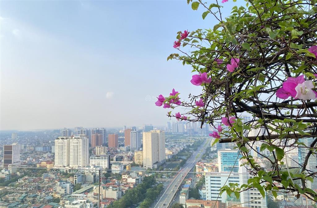 Giá sốc! sở hữu căn hộ siêu sang 3pn, 180m², dự án hanoi signature nguyễn văn huyên chỉ từ 150tr/m
