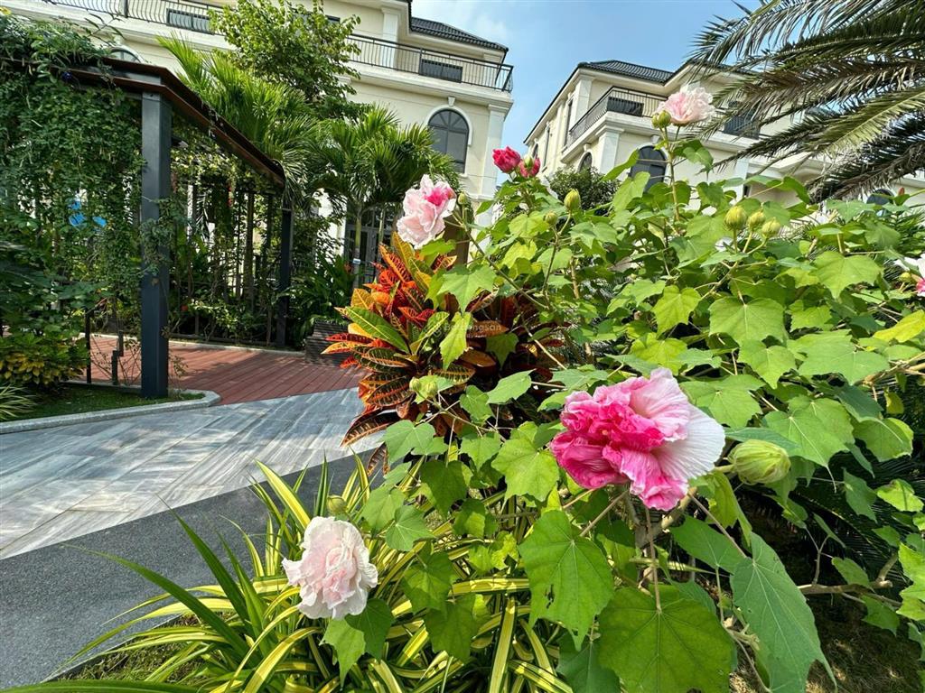 Cần tìm chủ nhân vip cho căn đơn lập góc, view hồ đỉnh, nội thất châu âu  starlake, giá thỏa thuận