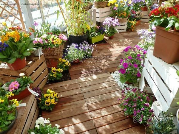 Siêu hiếm! sở hữu ngay căn penthouse rộng đến 495m2 giữa lòng tây hồ, giá chỉ 119tr/m2 [0989 826 ***]