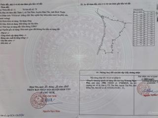 Chính chủ cần bán gần 8ha đất trồng cây lâu năm cạnh bùi farmstay, có điều & xoài sẵn. giá 10,5 tỷ