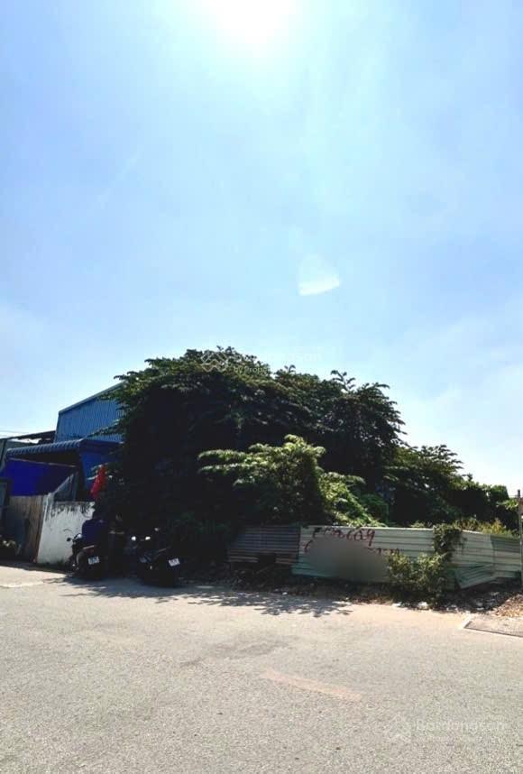 Bán lô đất thổ cư 309,2m2 (6,8x45) đường an phú đông 25, phường an phú đông q12 . đường 10m