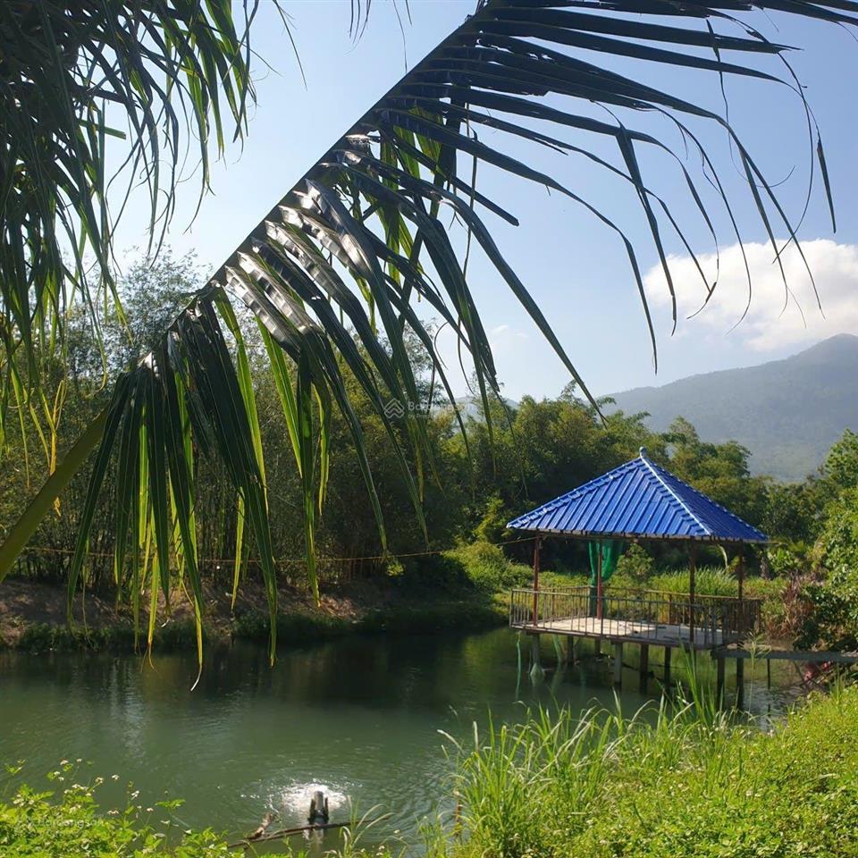 Bán đất xây trang trại nghỉ dưỡng view suối tại khu kinh tế vân phong huyện vạn ninh, khánh hòa