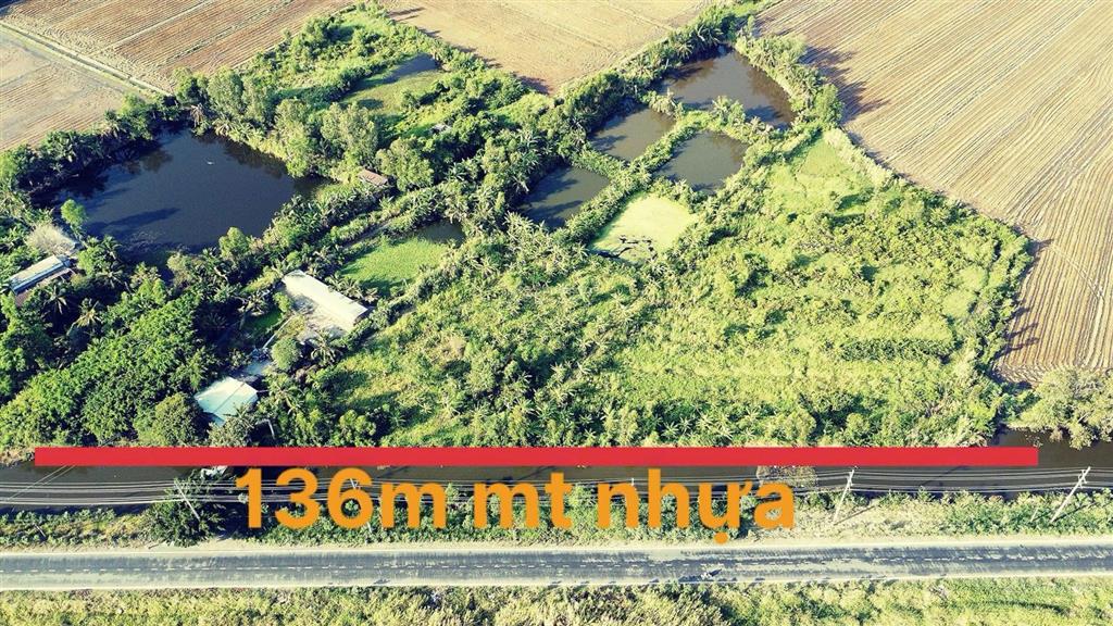 Cần bán 1,6ha đất mặt tiền đt 871b, thị trấn vàm láng cũ, ngay khu công nghiệp gia thuận 2